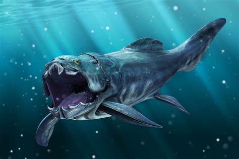 Dunkleosteus Animal Facts .